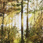 Aquarelle initiation