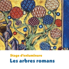 Stage d'enluminure occidentale