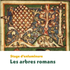 La forêt enchantée - les arbres romans