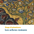 La forêt enchantée - les arbres romans