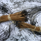 Gestes et souffles d'encre en foret de fontainebleau