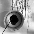 Initiation au sumi e - encre japonaise