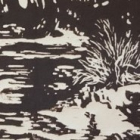 Stage gravure : graphisme et lumière