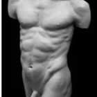 Stage sculpture-modelage torse masculin