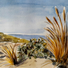 Stage aquarelle