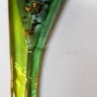 Stage 1 journée création bijoux en verre fusionné