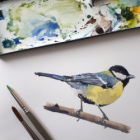 Cours d'aquarelle hebdomadaire du mercredi