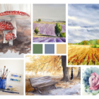 Sessions de cours d'aquarelle à distance