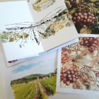 Petit carnet de vigne à la cité des vins