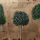 atelier_veronique_derache