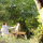 association_cultur_arts_en_vercors