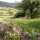 association_cultur_arts_en_vercors