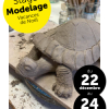 Stage Noël Modelage / Céramique