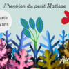Techniques mixtes – L’herbier du petit Matisse