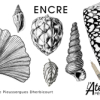 Illustration botanique