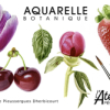 Illustration botanique