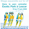 Stage aquarelle sur le vif, dans un parc animalier