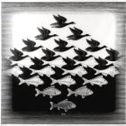 Composition à la manière d'escher