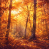 Forêt d'Automne à l'aquarelle