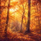 Forêt d'automne à l'aquarelle