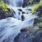Stage d'aquarelle avec dario percy ccallo