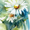 Côté jardin