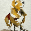 Animaux : croquis et mouvement
