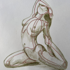 L'anatomie en mouvement : articulations, bassin et épaules