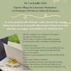 Dessin botanique et plantes sauvages dans le périgord noir