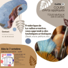 Cours d'Arts appliques - Tous niveaux (ado & adultes)