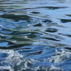 Eau et mouvement au pastel