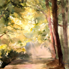 Pont l'abbé (29) clos lande vallée. stage joëlle krupa