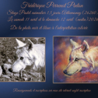 Stage pastel animalier