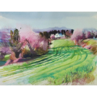 Lumières de campagne