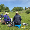 Cours d'aquarelles Bons en Chablais - Débutant / Intermédiaire