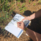 Immersion carnet sensible : une journée pour se déposer et créer en nature