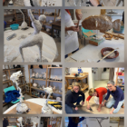 Sculpture multi-matières