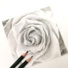 Rdv artistique de 1 à 4 personnes