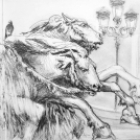 Dessin - maîtriser les bases