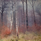 Peindre un paysage d'hiver à l'huile (stage adulte)
