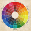 L’art de la couleur : théorie et pratique (Stage adulte)