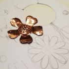 Stage immersion de 6 heures