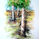 Cours aquarelle et huile villeneuve sur lot