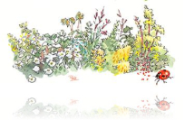 Biographisme, dessin/aquarelle