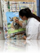 Cours de peinture à paris. Terre et Feu Tregunc (Finistère).