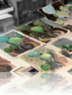 Atelier de peinture et dessin. Atelier de peinture Corinne Tizien Genay (Rhône).