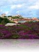 Stage de carnet de voyage dans les côtes de granit rose en bretagne. du 21 au 25 Juillet 2025 Atelier martine salvatge Lannion (Côtes-d'Armor).